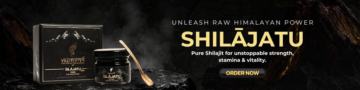 shilajatu powerful authentic Himalayan resin by vedsharanam